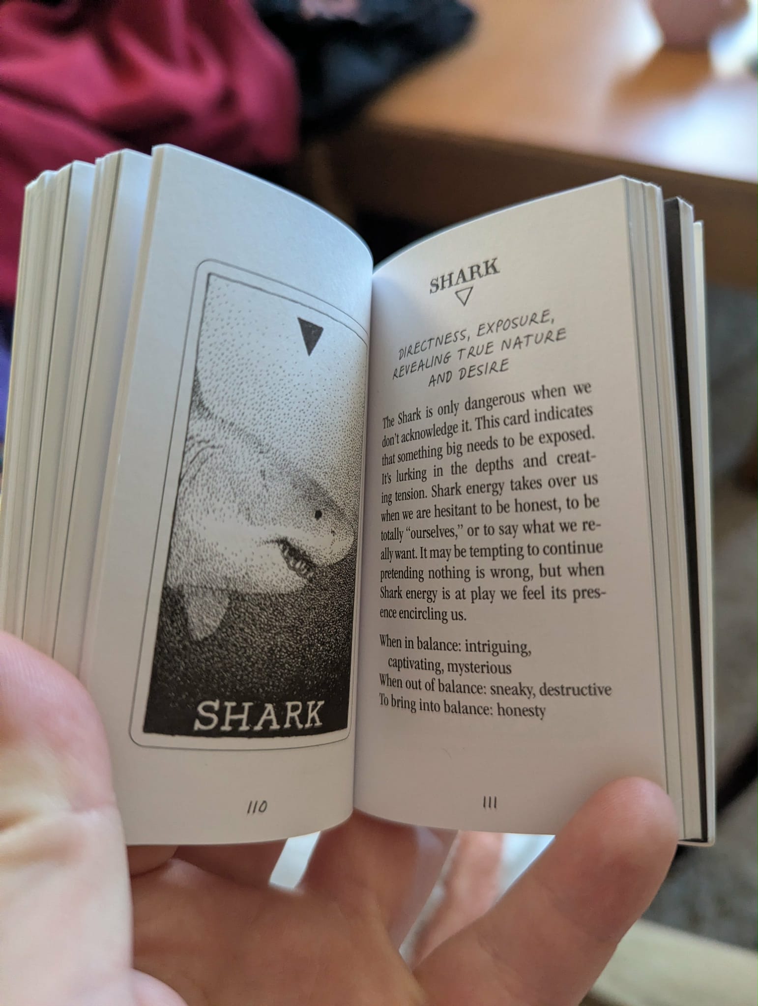 Shark Oracle Card